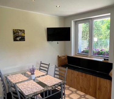 Chojnice House | Apartament „Pod Zielonym Dachem”