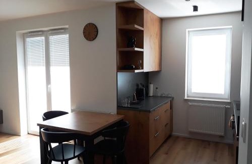 Rzeszow Apartment | Apartament Projektant