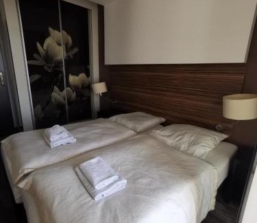 Dzielnica Uzdrowiskowa Apartment | Apartament prywatny salon z aneksem kuchennym, sypialnią w hotelu DIVA