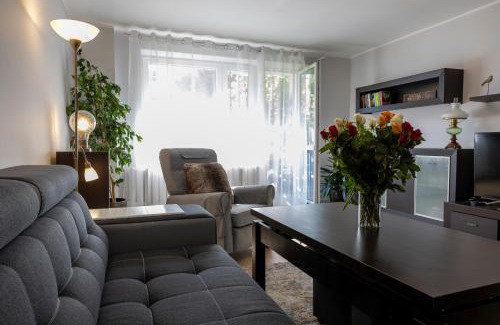 Wisla Apartment | Apartament Przy Wiślańskim Bulwarze - Wisła
