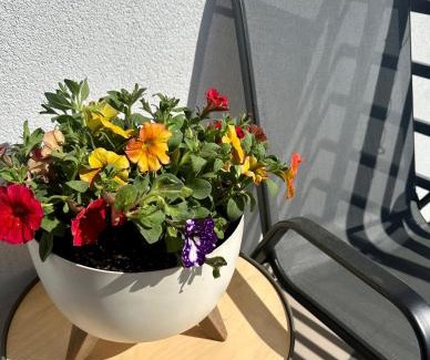Bieliny Apartment | Apartament Sweet Garden