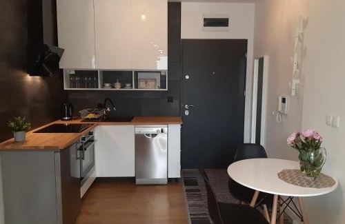 Torun Apartment | Apartament TEN z miejscem parkingowym