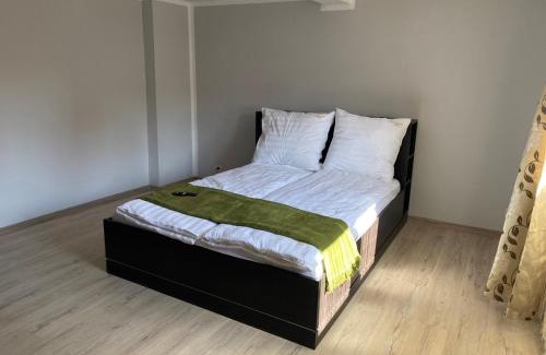 Bielawa Apartment | Apartament W46B Deluxe w Bielawie Góry Sowie