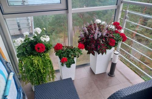 Dziwnowek Apartment | Apartament z widokiem na morze