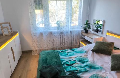 Minsk Mazowiecki Apartment | Apartament Zielono mi