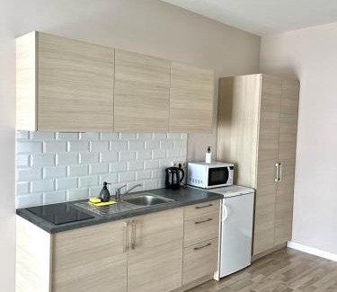 Klaipeda Apartment | Apartamentai Klaipėda-studijos tipo butukai