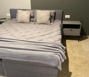 Timisoara Bed & Breakfast | Apartamente cu un dormitor