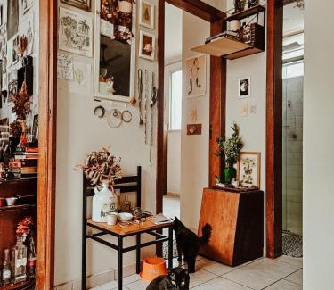 Santa Efigenia Apartment | Apartamento da bruxa verde