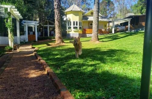 Gramado Apartment | Apartamento do lago