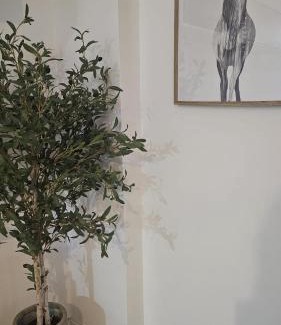 La Catedral Apartment | Apartamento Menina Santa Ana