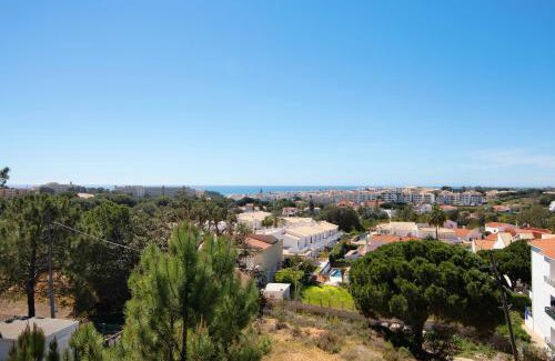 Vale de Carro Apartment | Apartamento T1 - Em zona tranquila
