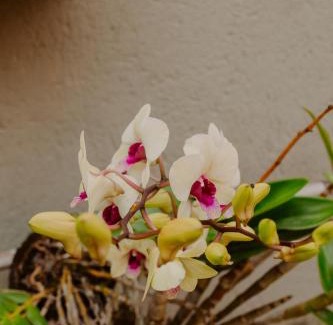 Arraial d'Ajuda Apartment | Apartamentos Completos para Família em Arraial! Tranquilidade e Boa Localização