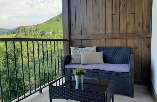 Cangas de Onis Apartment | Apartamentos El Llanin