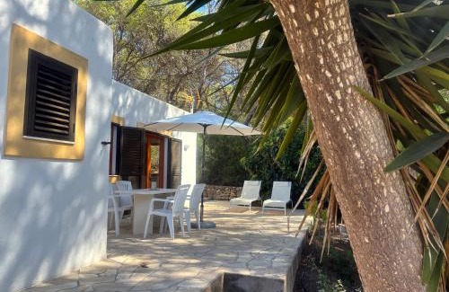 Santa Eulalia del Rio Apartment | Apartamentos Pinosol