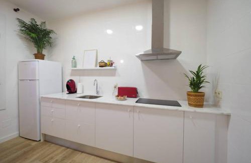 Sant Hilari Sacalm Apartment | Apartaments Sa Calm La coma