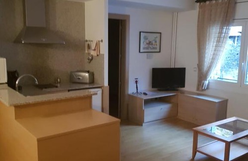 Soldeu Apartment | Apartaments Turistics Pirineu
