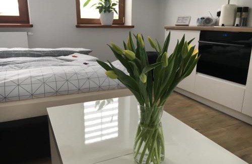 Czestochowa Apartment | Apartamenty AP 1