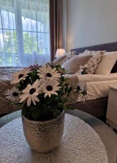 Grzybowo Apartment | Apartamenty Hexagon nr 23