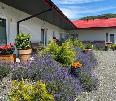 Kudowa Zdroj Apartment | Apartamenty Pod Gruszą