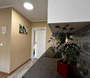gmina Przybiernow Apartment | Apartamenty pod Szczęśliwym Koniem