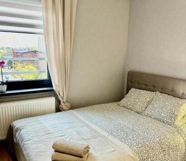 Katowice Apartment | Apartamenty Poziom 4, Prywatna łazienka, Wspólna toaleta, Free wi-fi, Free Parking