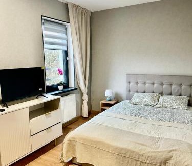 Katowice Apartment | Apartamenty Poziom 4, Prywatna łazienka, Wspólna toaleta, Free wi-fi, Free Parking