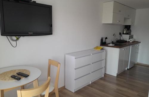 Czorsztyn Apartment | Apartamenty w Pieninach - 1 sypialnia