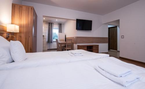 Bystrzyca Kłodzka Apartment | Apartamenty ZYGFRYD 28C/3/2