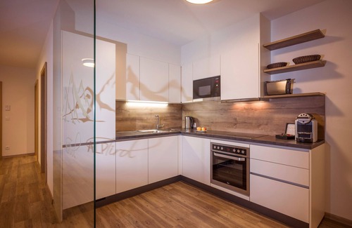 Kaltenbach Apartment | Aparthotel AlpTirol
