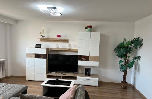 Cluj-Napoca Apartment | Aparthotel Aurel Vlaicu City Center