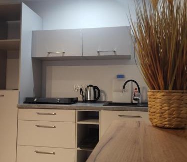 Bystrzyca Kłodzka Apartment | ApartHotel8