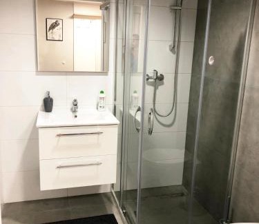 Psie Pole Apartment | Apartimento Hydral Figo