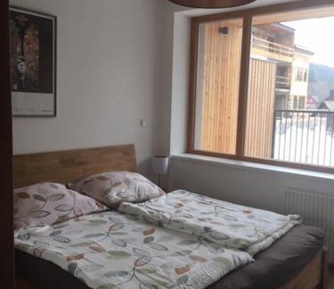 Bedrichov Apartment | Apartmán Čihadla