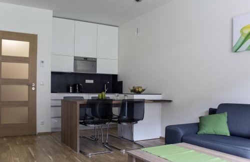Spindleruv Mlyn Apartment | Apartmán Špindlerův Mlýn