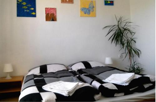 Zdar Nad Sazavou Apartment | Apartmán Žďár
