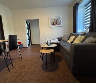 Cerny Dul Apartment | Apartmán 85