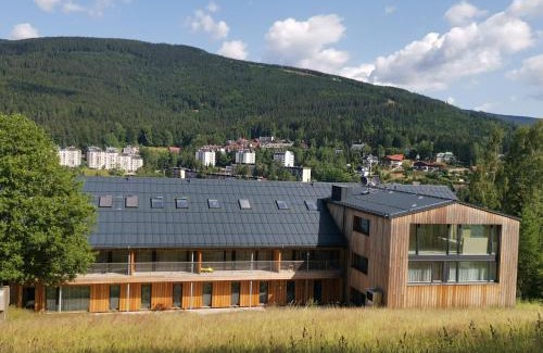 Spindleruv Mlyn Apartment | Apartmán Alpina Špindlerův Mlýn