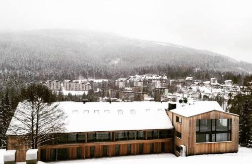 Spindleruv Mlyn Apartment | Apartmán Alpina Špindlerův Mlýn