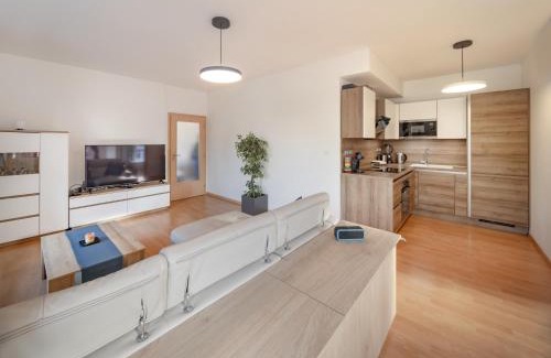 Vrchlabi Apartment | Apartmán Berenika