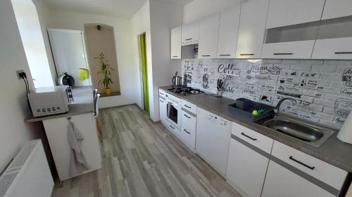 Nove Mesto nad Metuji Apartment | Apartmán Budín - v klidu přírody, s parkováním