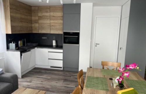 Dolni Morava Apartment | Apartmán - Dolní Morava - "Sedmička" pro 2 až 6 osob