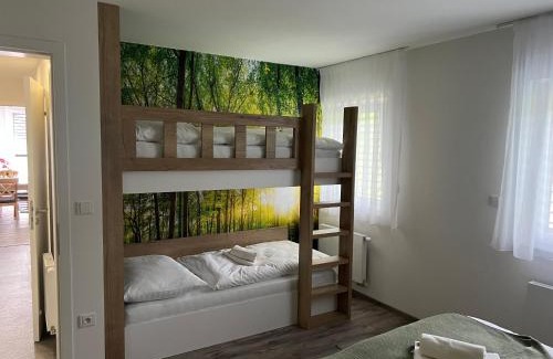 Dolni Morava Apartment | Apartmán - Dolní Morava - "Sedmička" pro 2 až 6 osob