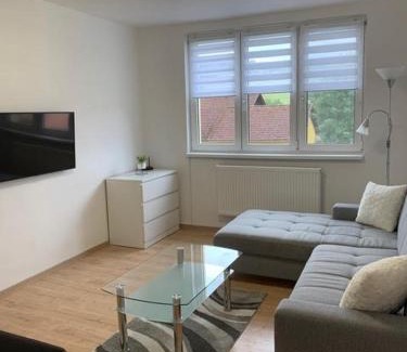 Frymburk Apartment | Apartmán Frymburk 30