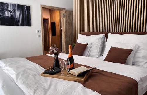 Vrchlabi Apartment | Apartmán Herlíkovice 303