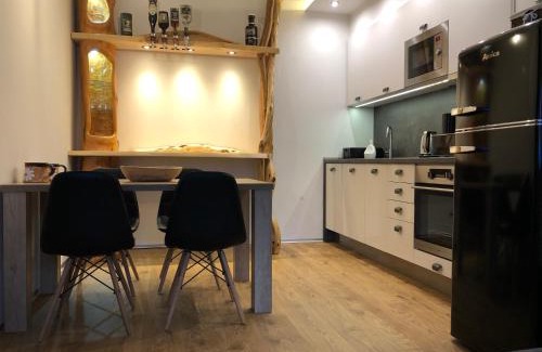 Janske Lazne Apartment | Apartmán Jestřáb č.15