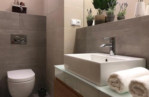 Janske Lazne Apartment | Apartmán Jestřáb č.15