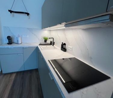 Banska Bystrica Apartment | Apartmán Mony