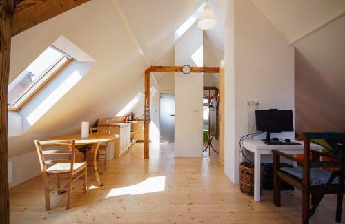 Karlovy Vary House | Apartmán Národní