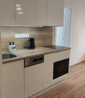 Pisek Apartment | Apartmán Palackého sady - pohoda v srdci města