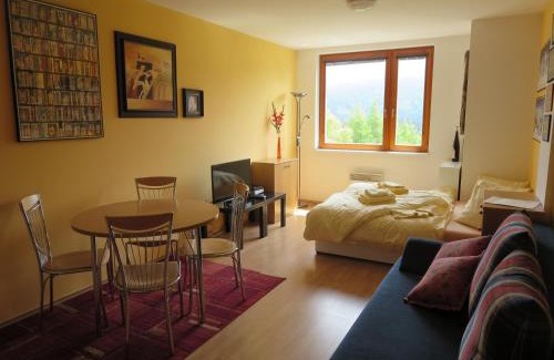 Ostruzna Apartment | Apartmán Ramzová 27